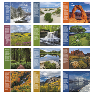 Good Value™ Healthy Living - Stapled Calendar