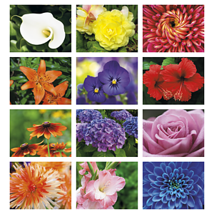 Good Value™ Flowers - Stapled Calendar