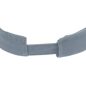 The Visor