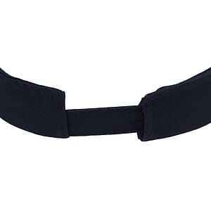 The Visor