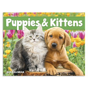 Good Value™ Puppies & Kittens - Window Calendar
