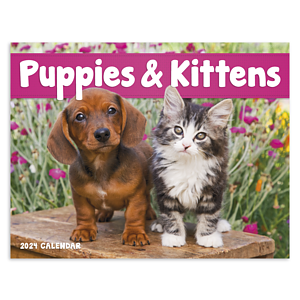 Good Value™ Puppies & Kittens - Window Calendar