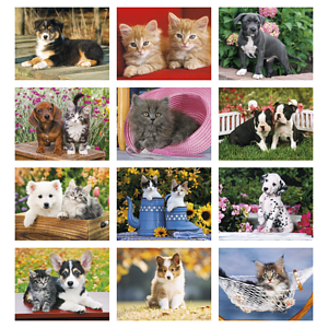 Good Value™ Puppies & Kittens - Window Calendar