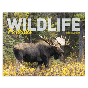 Good Value™ Wildlife Portraits - Window Calendar