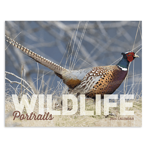 Good Value™ Wildlife Portraits - Window Calendar
