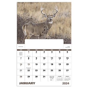 Good Value™ Wildlife Portraits - Window Calendar