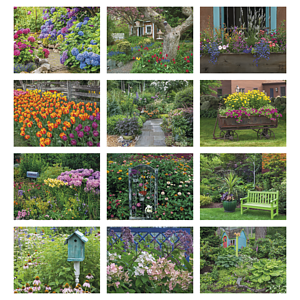 Good Value™ Garden Walk - Window Calendar