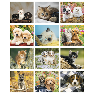 Good Value™ Puppies & Kittens - Mini Calendar