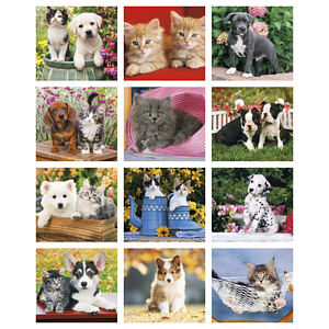 Good Value™ Puppies & Kittens - Mini Calendar