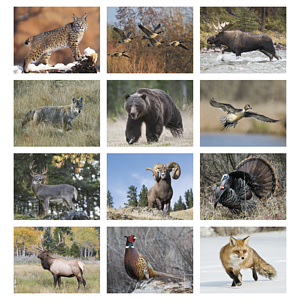 HotLine® Products Wildlife Appointment Calendar - Stapled