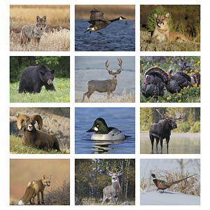 HotLine® Products Wildlife Appointment Calendar - Stapled