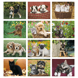 Four Paws Appointment Calendar - Stapled