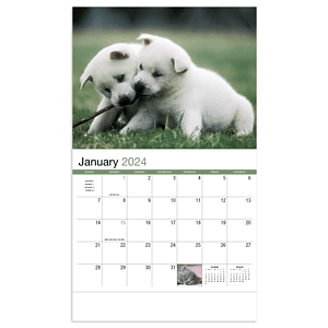 Four Paws Appointment Calendar - Stapled