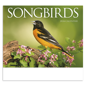 HotLine® Products Songbirds Appointment Calendar - Stapled