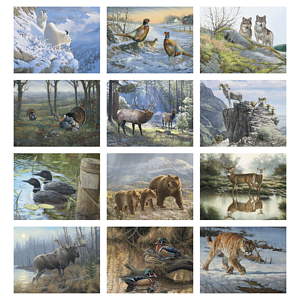 HotLine® Products Wildlife Collection Appointment Calendar - Stapled