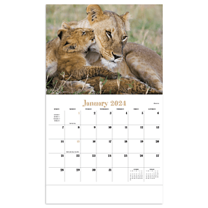 HotLine® Products Animal Babies Appointment Calendar - Stapled