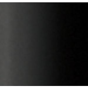 BIC® PrevaGuard® Clic Stic® Pen