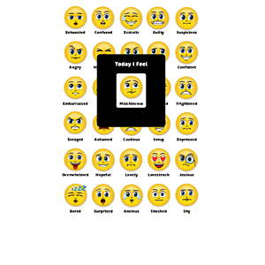 Good Value™ MOOD METERS® Mood Magnet