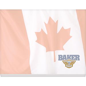 Souvenir® Sticky Note™ 4" x 3" Pad, 50 sheet