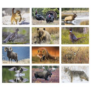 Press-N-Stick Sportsmen Calendar