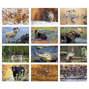 Triumph® Calendars Press-N-Stick Sportsmen Calendar