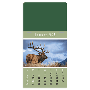 Triumph® Calendars Press-N-Stick Sportsmen Calendar