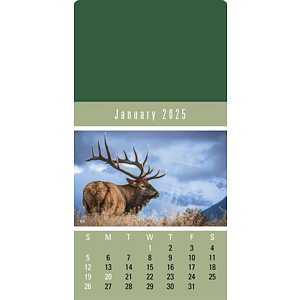 Triumph® Calendars Press-N-Stick Sportsmen Calendar