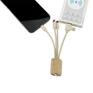 Dual Type C Eco Friendly Charging Cable