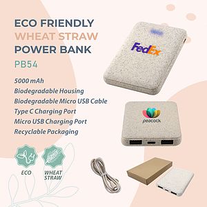 Eco-Friendly Power Bank