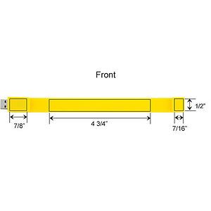 8GB Wristband 200 Series-GS