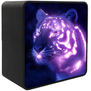 Glow Up Wireless Speaker