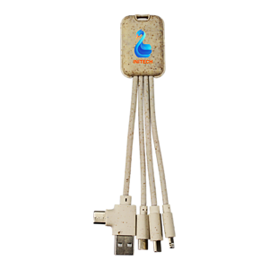 Dual Type C Eco Friendly Charging Cable