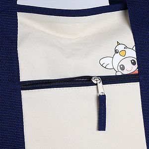 Insulated Reusable Food Bag For Groceries