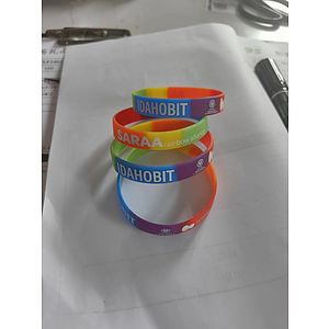 Rainbow Silicone Bracelet