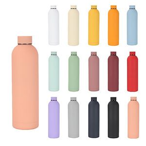 Stainless Steel Vacuum Flask