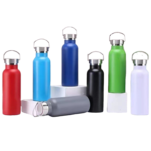 Stainless Insulated Water Bottle