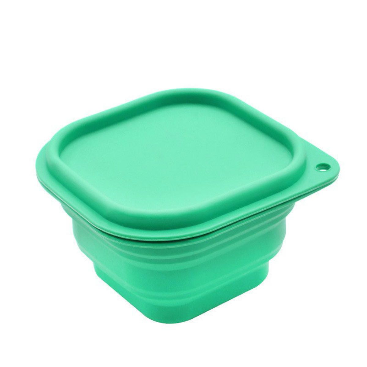 Collapsable Storage Containers