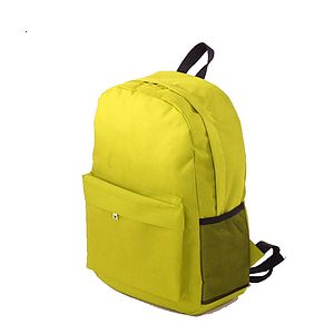 Stylish Backpack
