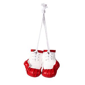 Mini Boxing Gloves