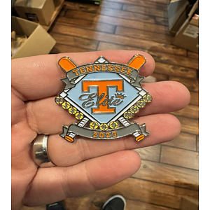 2 Custom Lapel Pins