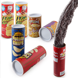 Prank Toy Potato Chip Snake Can Scary Trick with Cockroach