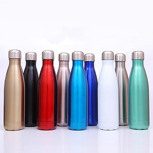 Stainless Steel Water Bottle