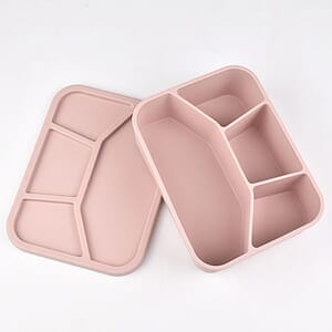 Silicone Four Compartment Lunch Box