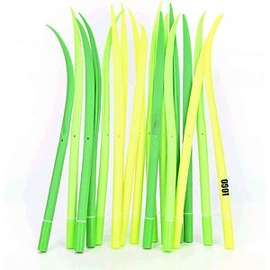 Grass Neutral Pen