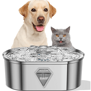 Cat Fountains