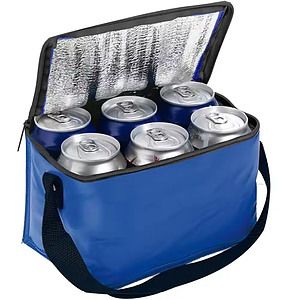 6 Packs Cooler Lunch Bags