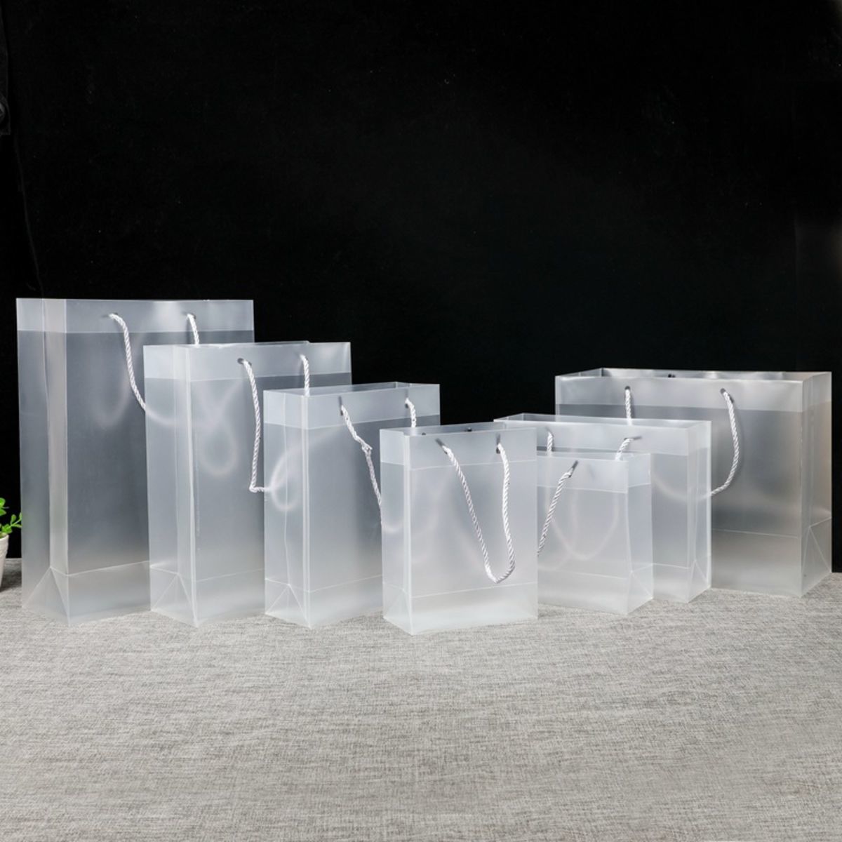 Frosted PP Gift Bag w/Rope Handle