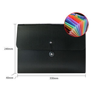 Accordian File Organizer