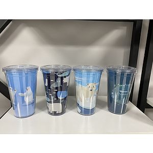 Double Wall Tumbler with Straw