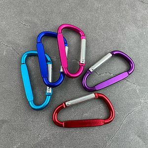 Carabiner Keychain